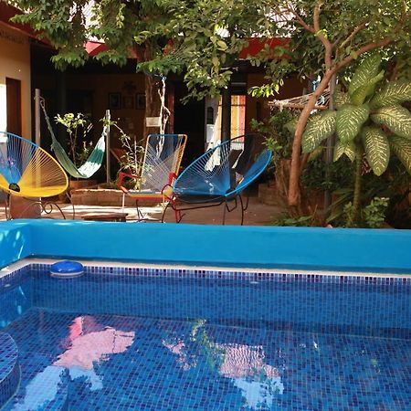 Hostal La Tortuga Booluda León 외부 사진