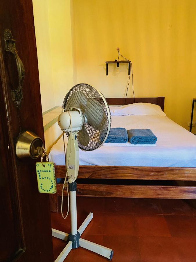 Hostal La Tortuga Booluda León 외부 사진